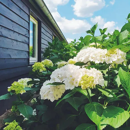 De Appelhoeve 3* Terschuur