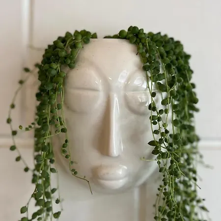 De Appelhoeve Guest house 3*