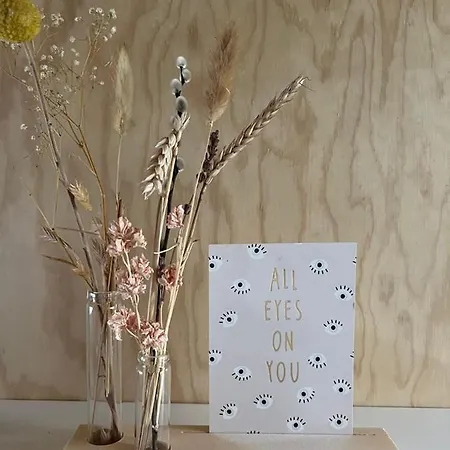 De Appelhoeve 3* Terschuur