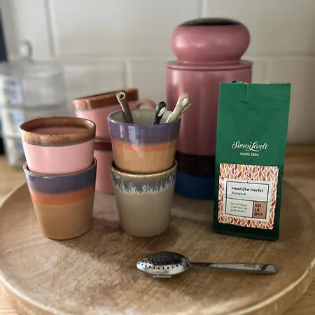 De Appelhoeve Guest house Terschuur