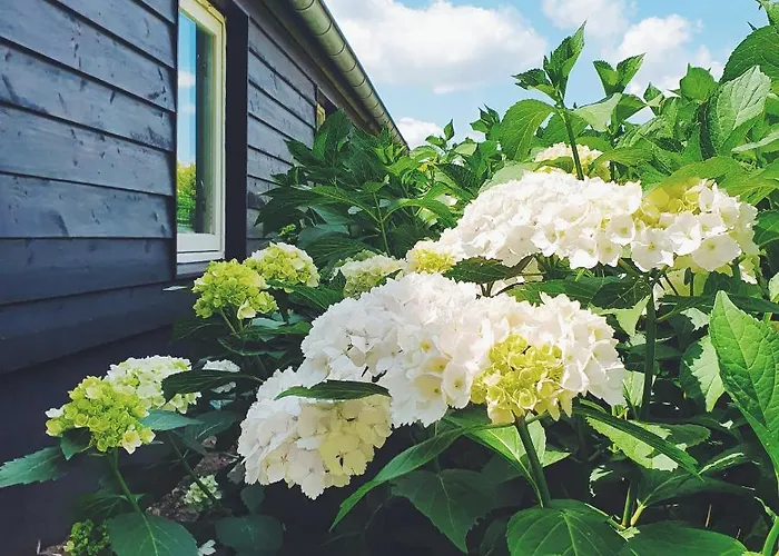 De Appelhoeve 3* Terschuur