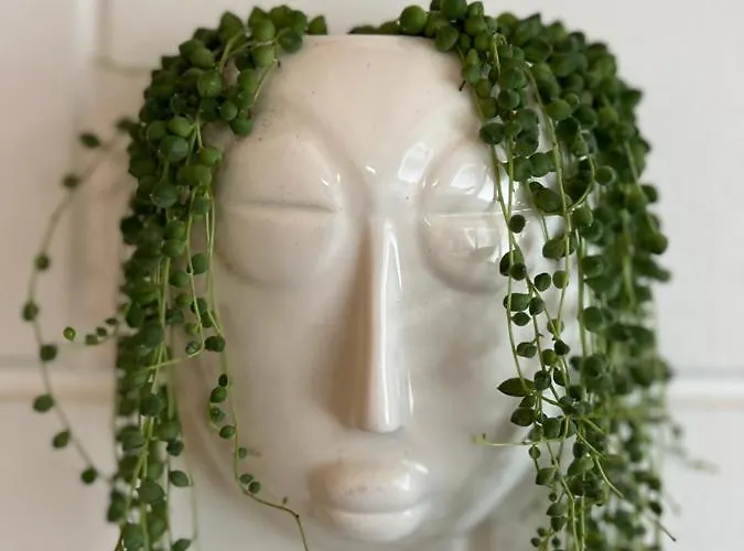 De Appelhoeve Pensjonat 3*