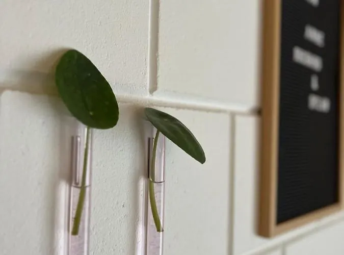 Pensjonat De Appelhoeve Terschuur