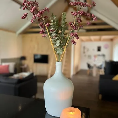 De Appelhoeve Bed & Breakfast Terschuur