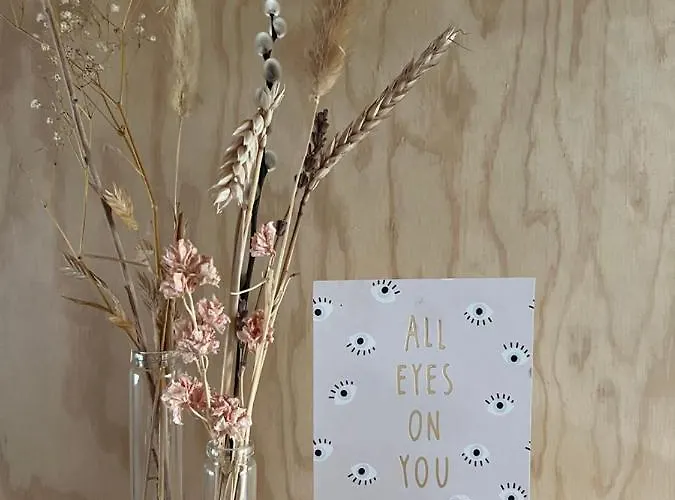 De Appelhoeve 3* Terschuur