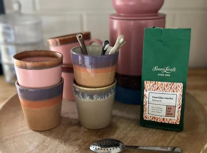 De Appelhoeve Pensionat Terschuur