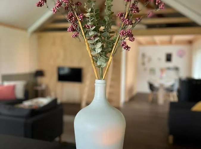 De Appelhoeve Pensionat Terschuur